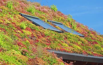 Benville living roof systems